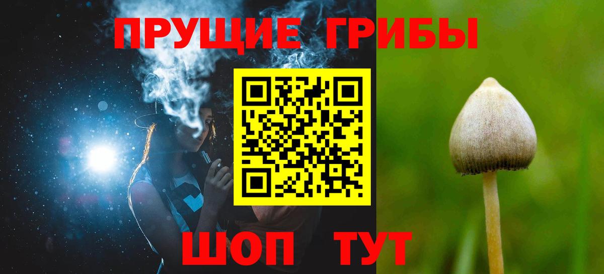 Галлюциногенные грибы прущие грибы Ставрополь