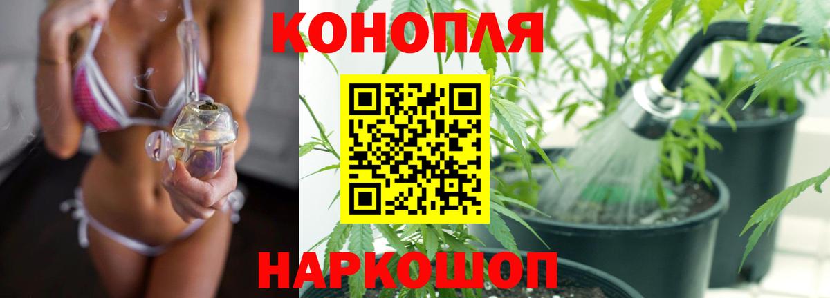 Бошки марихуана White Widow  Каннабис MAZAR  Вход с VPN  Ставрополь  Конопля MAZAR  Шишки марихуана Bruce Banner 